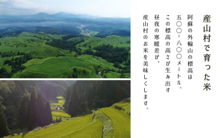 【令和6年産新米】うぶまい（コシヒカリ　白米）8kg〈阿蘇の名水　池山水源米〉