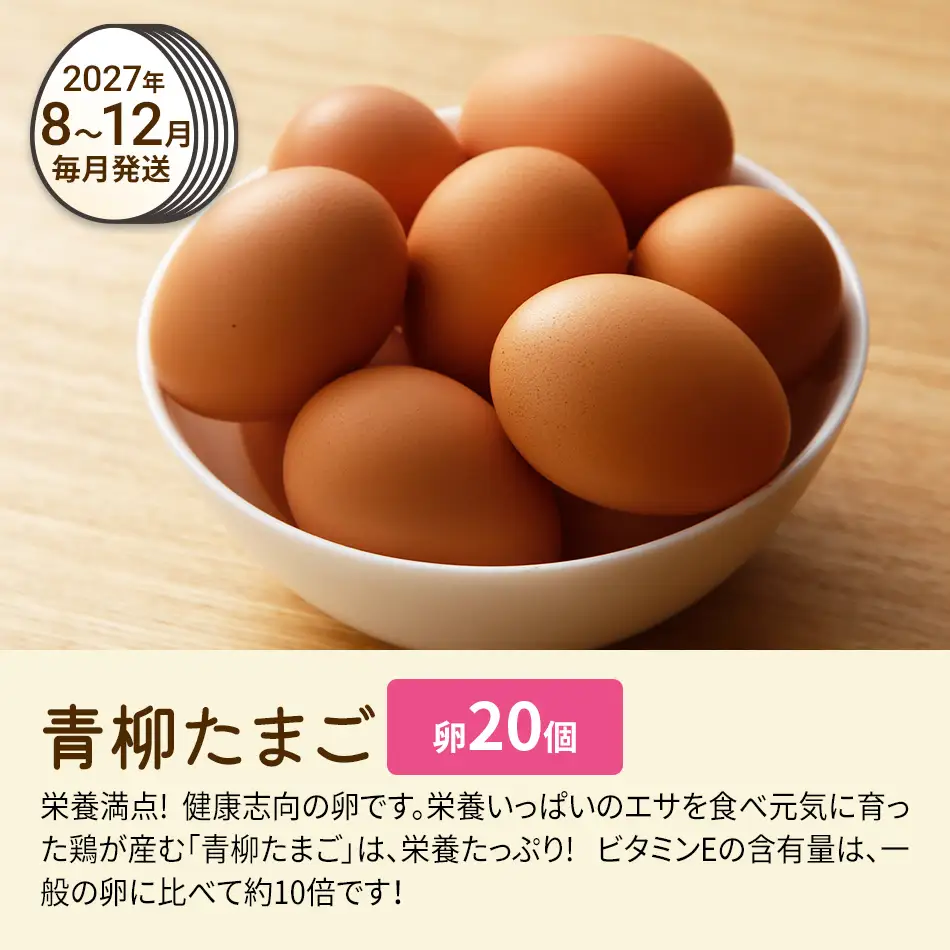 たまご後期定期便 6回発送（初回のみ醤油付き・たまご20個）20個×6回 合計120個 定期便 6ヶ月 卵 青柳たまご 送料無料 【2027年7月～12月の計6回お届け】