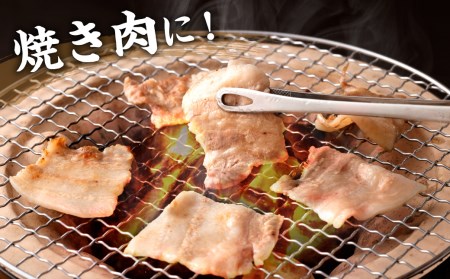 「夢やまびこ豚」焼肉セット 1.0kg | 豚肉 肉 詰め合わせ セット 焼肉用 焼き肉 BBQ 小分け 真空パック 冷蔵 送料無料