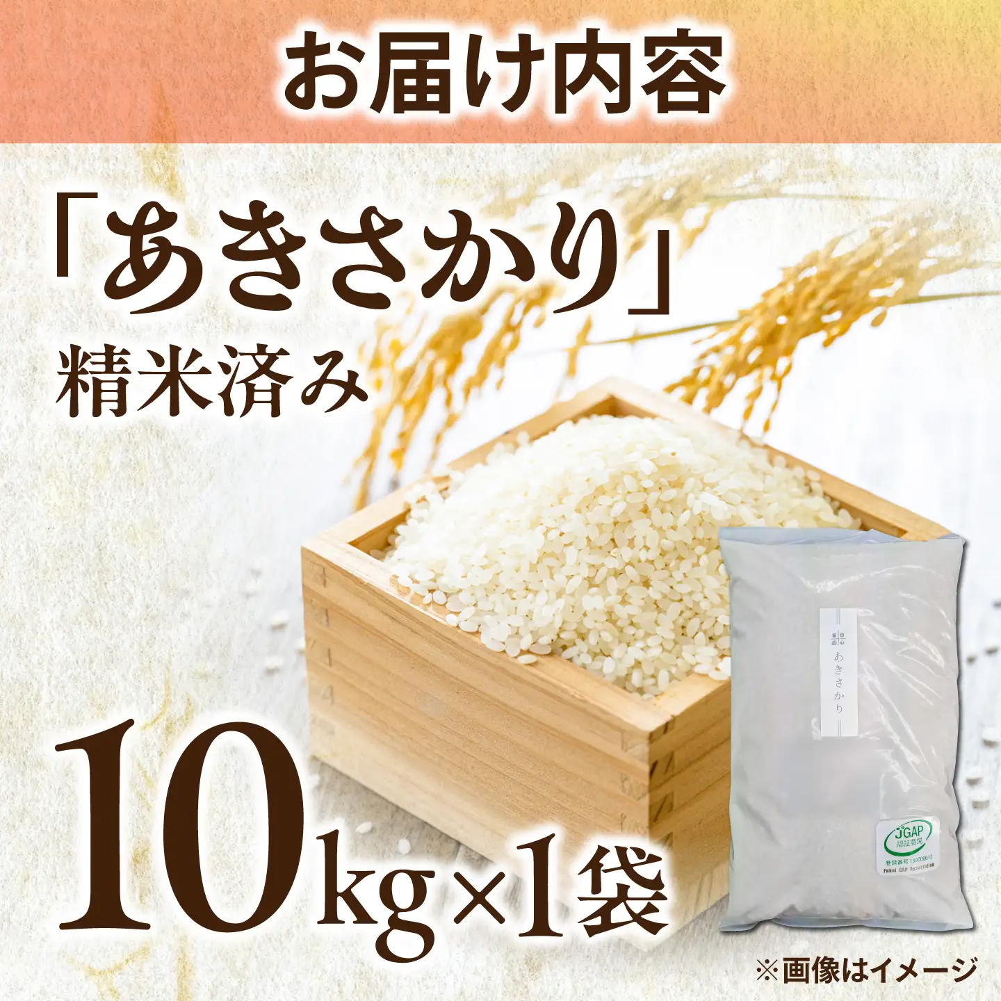 【先行予約/10月下旬以降順次発送】【令和8年産】福井県産 あきさかり 10kg 白米 若狭の恵 新米  [BFAG014]