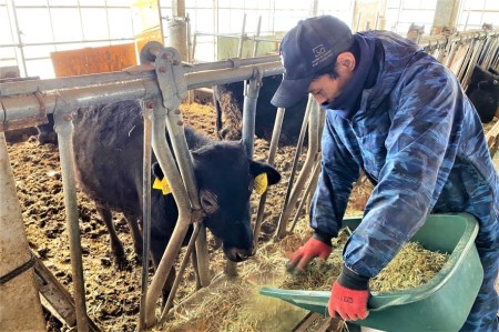 国産 黒毛和牛 いろり牛 経産牛 牛肉サーロインステーキ(約300g)
