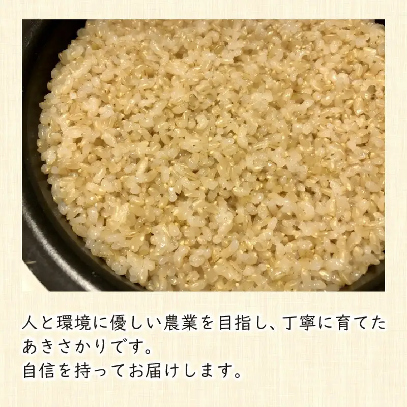 【令和8年産】福井県産あきさかり 玄米 30kg 若狭の恵 玄米 [BFAG015]