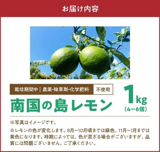■【 先行受付 】 栽培期間中 農薬 ・ 除草剤 ・ 化学肥料不使用 ！ 南国 の 島レモン 1kg ！【2026年9月～2027年2月下旬お届け】 W043-005u 果物