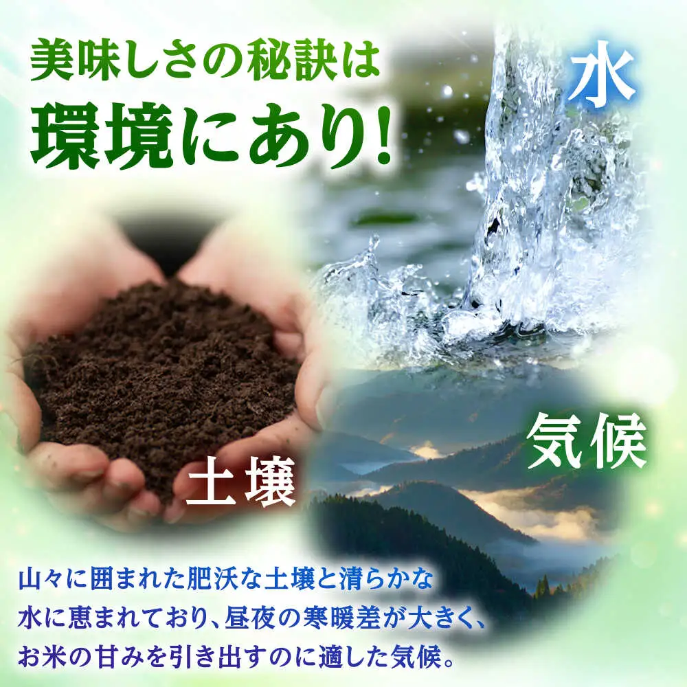 【令和7年産】真空パック 福井県産こしひかり 300g(約2合) × 10パック 計3kg 小浜市 / シマダ農園 [BFAV004]