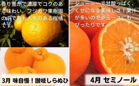 【9回頒布会】フジカワ果樹園オリジナル・新季節の柑橘セット 定期便 食べ比べ 