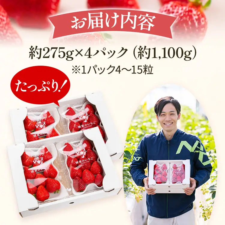 いちご あまおういちご 約275g×4P R9年3月～5月中旬順次発送