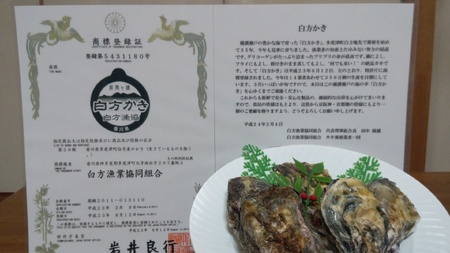 多度津町産 白方かき 電子レンジでお手軽調理　殻付きかき(加熱用)　500g×5袋【令和9年1月頃から4月頃までの期間限定出荷】【A-91】