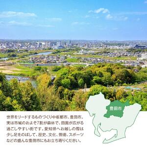 『ホテルトヨタキャッスル』ギフト券3,000円分