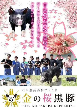 金の桜黒豚ハンバーグ・黒豚丼・黒豚カレー3種各2セット付！【00-057-07】