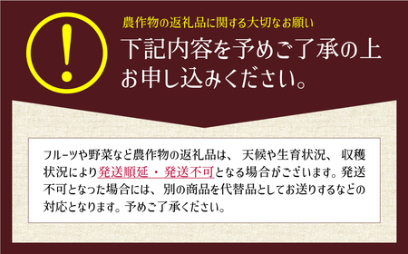 ＜令和7年新米＞やまぶき米(あきげしき)8kg《11月上旬-11月末頃出荷》