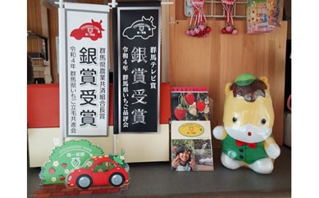 陽一郎園のおすすめいちごと淡雪のセット 約1kg イチゴ 苺 果物 くだもの フルーツ 食べ比べ 数量限定 F4H-0035