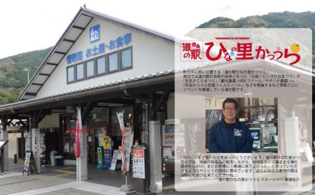 ご当地アイスセット