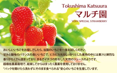 VERY40% マルチ園のいちごアイスクリーム 6個