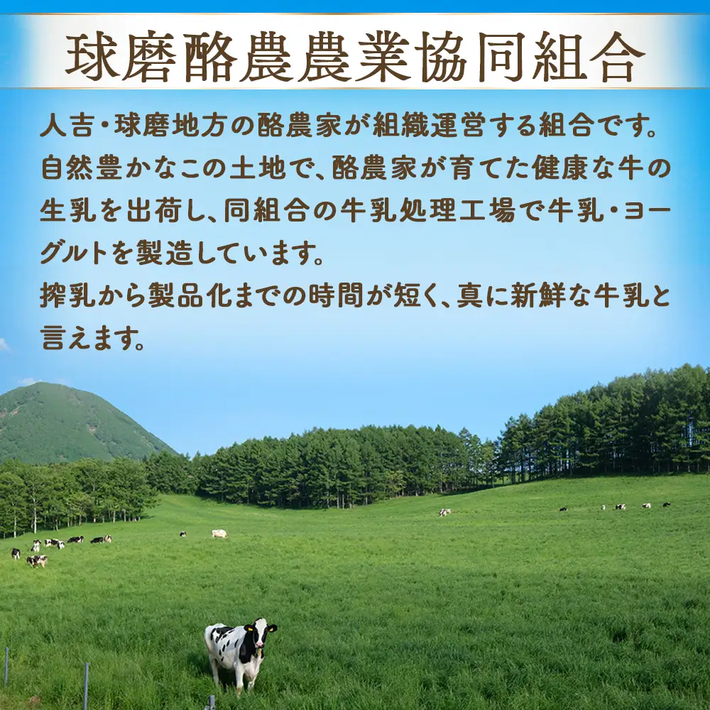 球磨の恵み ヨーグルト 加糖・砂糖不使用 1000g×各2個セット 合計4kg【 新鮮 生乳使用 とろーり もっちり 加糖ヨーグルト 砂糖不使用 プレーンヨーグルト 食べるヨーグルト 】 074-0448