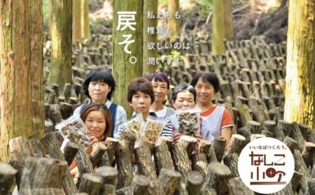 008-301x1 小町のよくばりセット （どんこ乾椎茸 45g×6パック 、スライス乾椎茸 30g×4パック 、なしこのなばこ 45g×1本） 