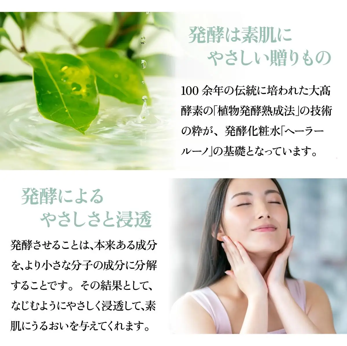 [5525-0737]大高酵素セット