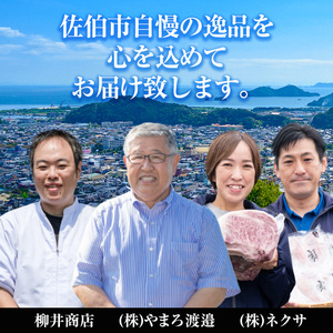 ＜先行予約受付中！2027年1月中旬より配送開始予定＞＜定期便・全4回＞味力全開！佐伯の彩り 春夏秋冬 定期便(該当月にお届け) 期間限定 鰤 ブリ ステーキ モモ とらふぐ 刺身 ふぐ 鍋 セット【BR115】【佐伯市ふるさと納税事業者協議会】