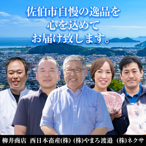 ＜先行予約受付中！2027年1月中旬より配送開始予定＞＜定期便・全4回＞味力全開! 佐伯の煌き 春夏秋冬 定期便 (該当月にお届け) 鰤 ブリ ステーキ サーロイン リブロース 焼肉 とらふぐ 刺身 ふぐ 鍋 セット 【BR114】【佐伯市ふるさと納税事業者協議会】
