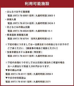 宝泉寺温泉旅館組合 共通ペア 宿泊券 1枚 1泊2食付 旅館 ホテル 温泉
