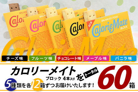 カロリーメイト4本入　まとめ売り60箱 大塚製薬】カロリーメイト ブロック 4本入り 合計60箱 5種類×各12箱