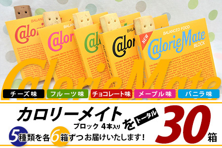 大塚製薬】カロリーメイト ブロック 4本入り 合計30箱 5種類×各6箱
