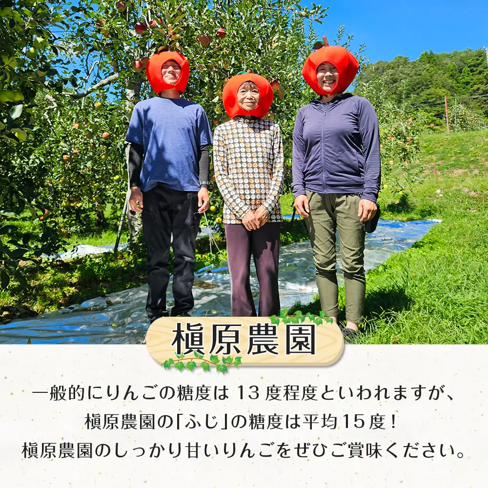 ≪10月中旬以降発送≫りんご 国産 3kg 農家直送 槇原農園 芸北りんご 林檎 トキ 早生ふじ 千秋 シナノドルチェ シナノスイート ぐんま名月 シナノゴールド ふじ_MA077_001