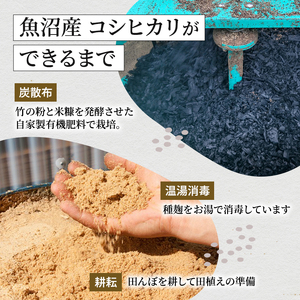 米食味鑑定士厳選 魚沼産 コシヒカリ 無洗米 6kg【3kg×２袋】 |コシヒカリ