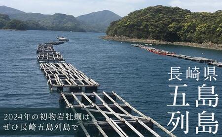 【先行予約 2026年3月下旬以降発送】長崎県五島列島産【超極濃プレミアム】岩牡蠣20個入（1個100g～150g×20）
