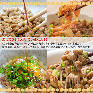 【2か月定期便】国産大豆のみ使用 秋田の納豆 16個（4パック×4袋） 納豆