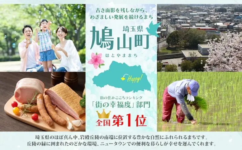ゴルフ鳩山カントリークラブ1日プレー券ゴルフ【平日限定】