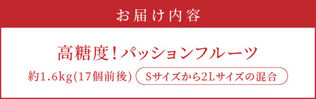 【 2026年 先行予約 】 高糖度 パッションフルーツ 約1.6kg A059-005