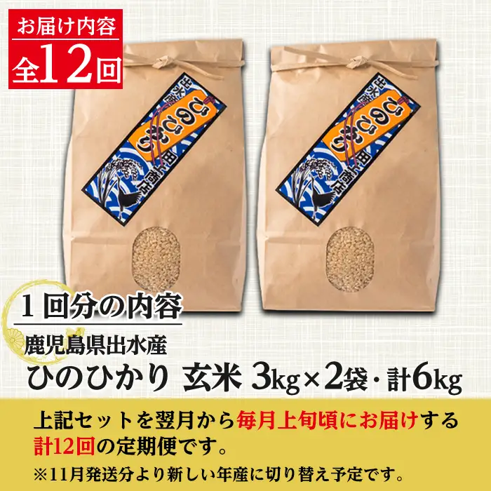【12回定期便(連続)】鹿児島県 出水市産 ひのひかり 玄米 定期便 (3kg×2袋・計6kg)×全12回 【田上商店】 i663