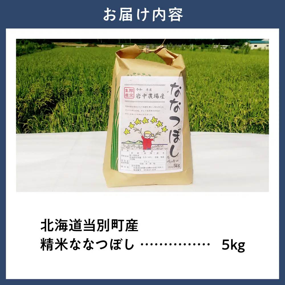 【令和8年度産米】精米ななつぼし5kg | ななつぼし 精米 米 コメ 北海道産 北海道 当別町