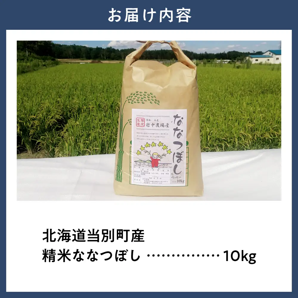 【令和8年度産米】精米ななつぼし10kg | ななつぼし 精米 米 コメ 北海道産 北海道 当別町