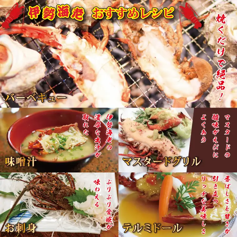 生冷凍 伊勢海老 2尾 1kg _AP031