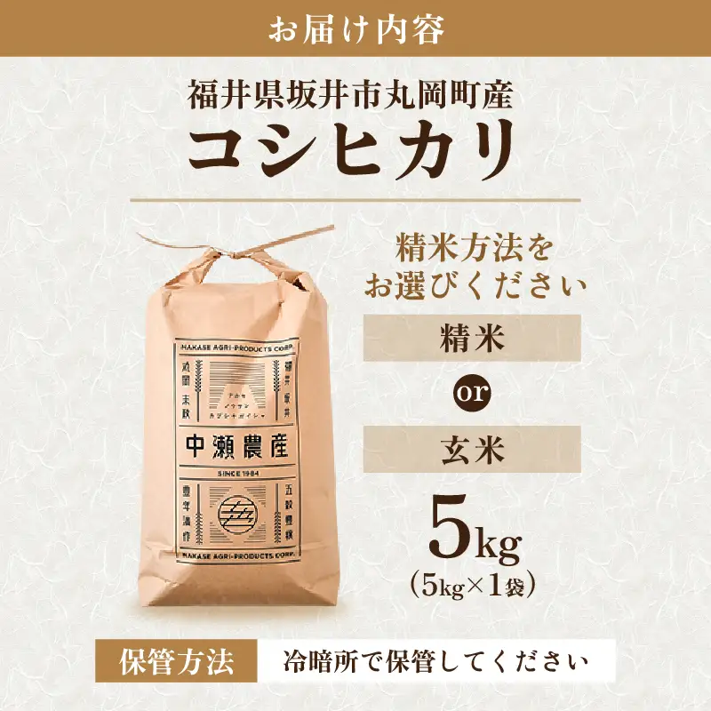 令和8年産・新米 コシヒカリ 計5kg（精米） [A-11309_03]