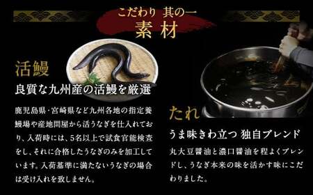 【6ヶ月定期便】鰻天屋の 九州産 うなぎ 蒲焼 約140g×2尾 セット