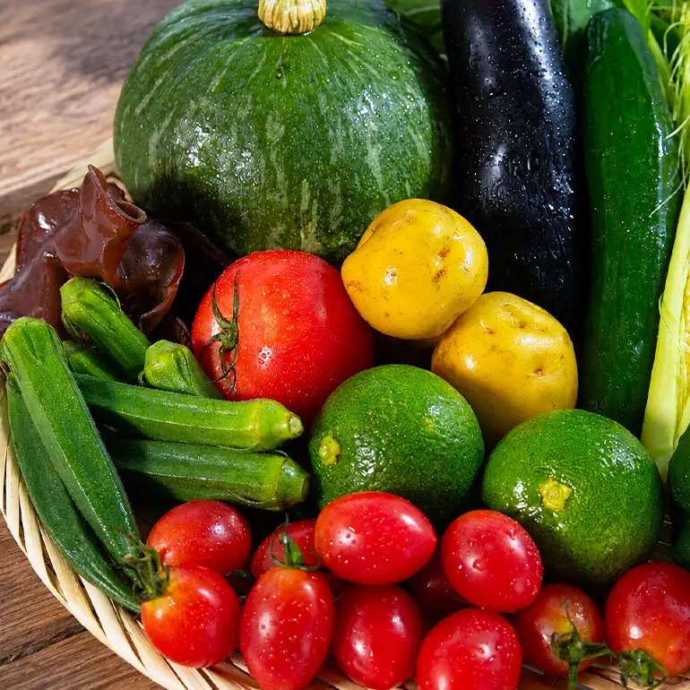 【月イチ定期便】UIC 名水うきは 旬の滋味（じみ）野菜セット (ひと月1箱×4か月=計4回)