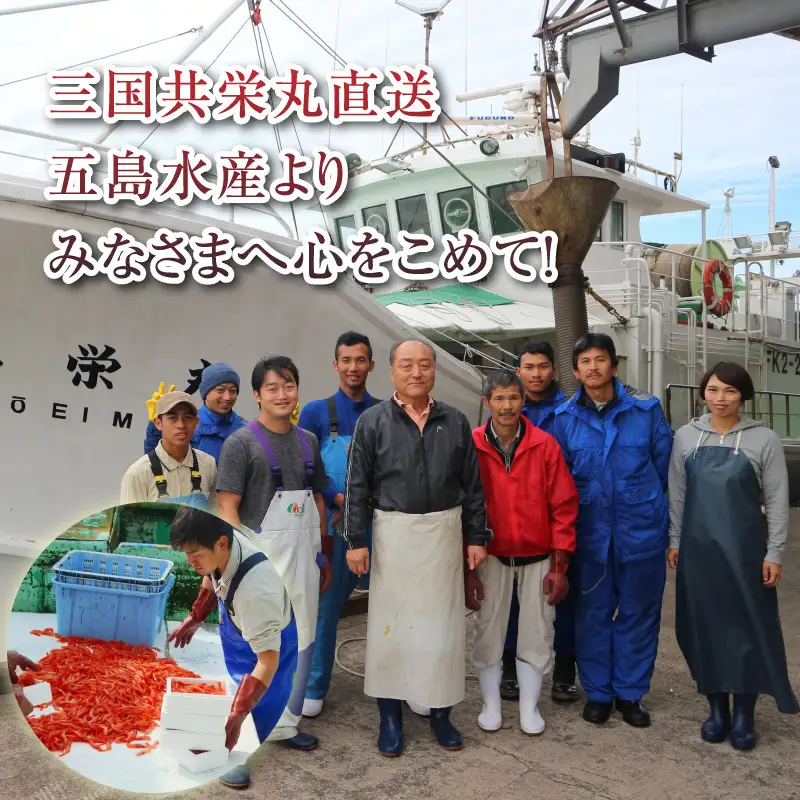 甘エビ 2.75kg (550g×5箱) 中サイズ エビ 冷凍 大容量 [C-2306]
