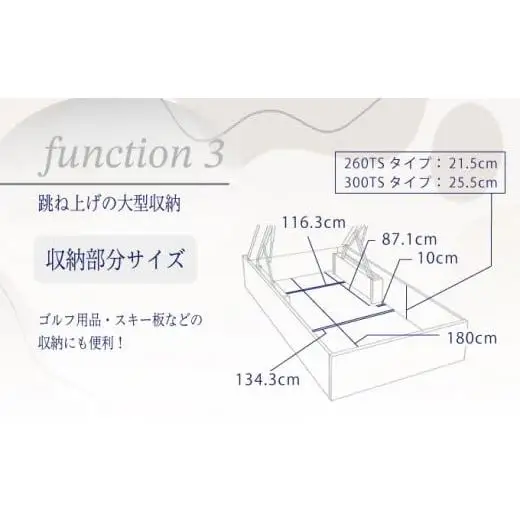 フランスベッド BG-001（跳ね上げ収納タイプ 260mm）ダブル【ベッドフレームのみ】S-213