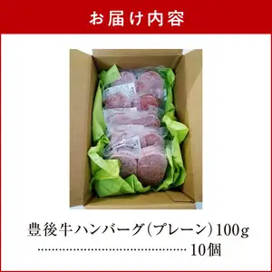 豊後牛ハンバーグ（プレーン）　10個セット（合計約1kg） A05064