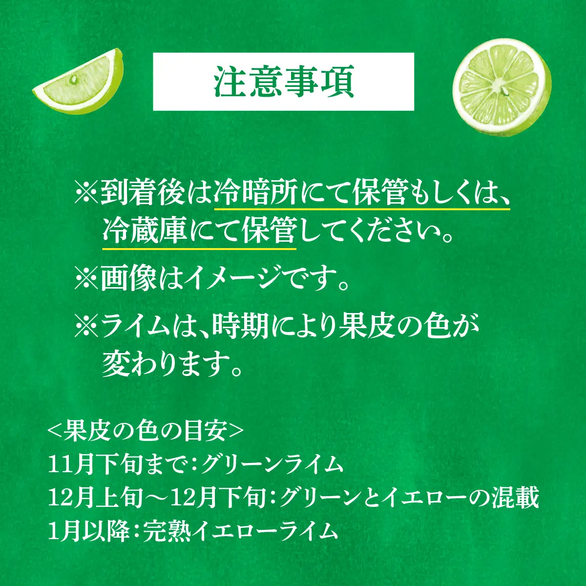 青いレモンの島 ライム 約2kg ライム
