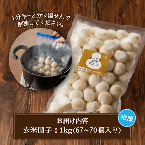 栄養満点 玄米だんご　30年間無農薬・無肥料で米作りを続ける米職人のお米で作りました (a10-1147)
