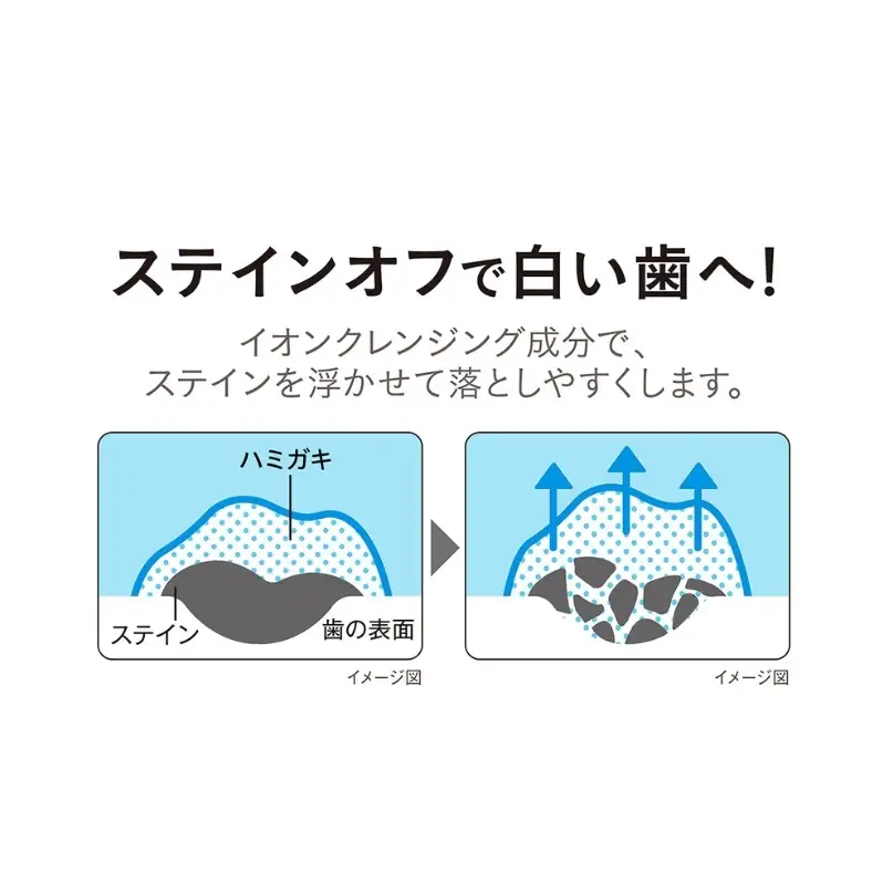 ライオン NONIO ハミガキ歯ブラシセット 各6本セット 歯磨き粉 歯磨き粉