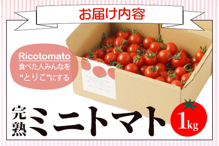 【先行受付】2027年1月より順次発送予定【少量パック】完熟ミニトマト 360g (120gx3p) | トマト プチトマト 野菜 農家直送 ギフト 人気 佐賀県鹿島市 たにぐちファーム Ricotomato（リコトマト）～とりこになるトマト～ B-324