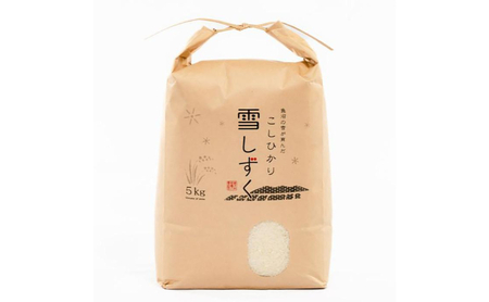 令和7年産！魚沼産コシヒカリ【農家直送!】 5kg×1袋 お米 米 コメ 