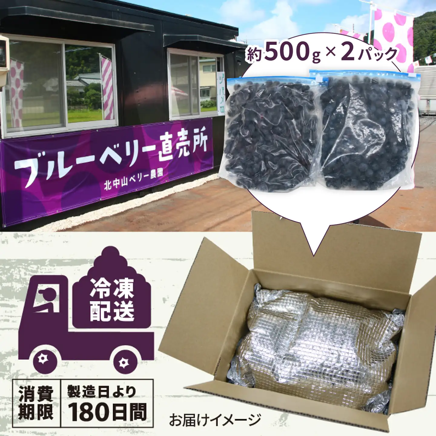 【訳あり】令和8年産〈冷凍〉手摘み有機ブルーベリー1kg（500g × 2パック）果物 フルーツ