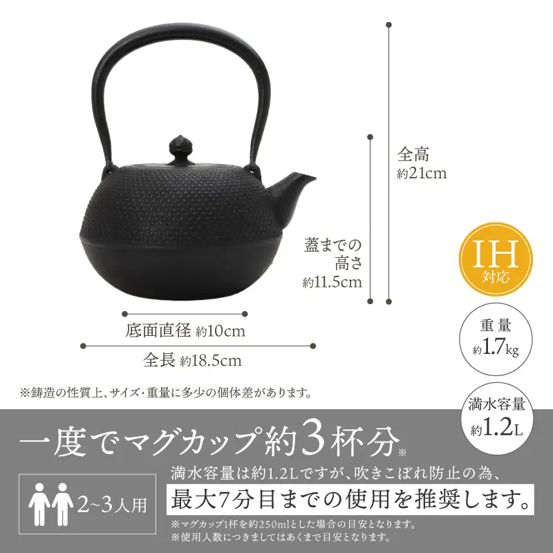 【4ヶ月以内発送予定】 南部鉄器 鉄瓶 寒梅あられ鉄瓶 ～ARARE～ 1.2L IH調理器 伝統工芸品 やかん ケトル キッチン用品 食器 日用品 雑貨 [BE001]