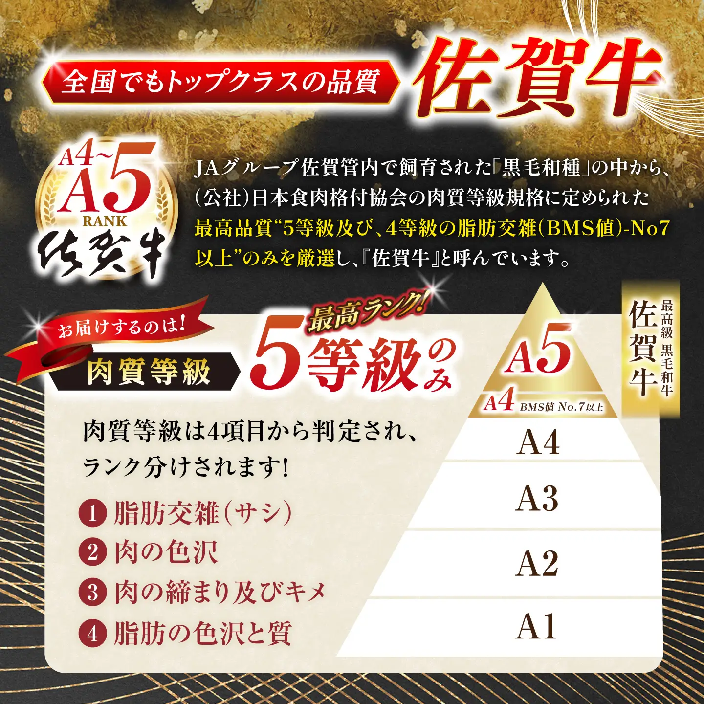 牛肉ステーキ 佐賀牛 A5 600g NAB022 牛肉ステーキ