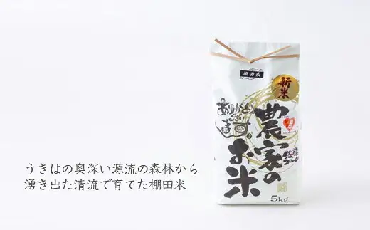 佐藤ファーム 棚田夢つくし 白米10kg【2026年9月下旬より順次発送予定】 夢つくし こめ お米 コメ ごはん ご飯 送料無料 福岡県 うきは市